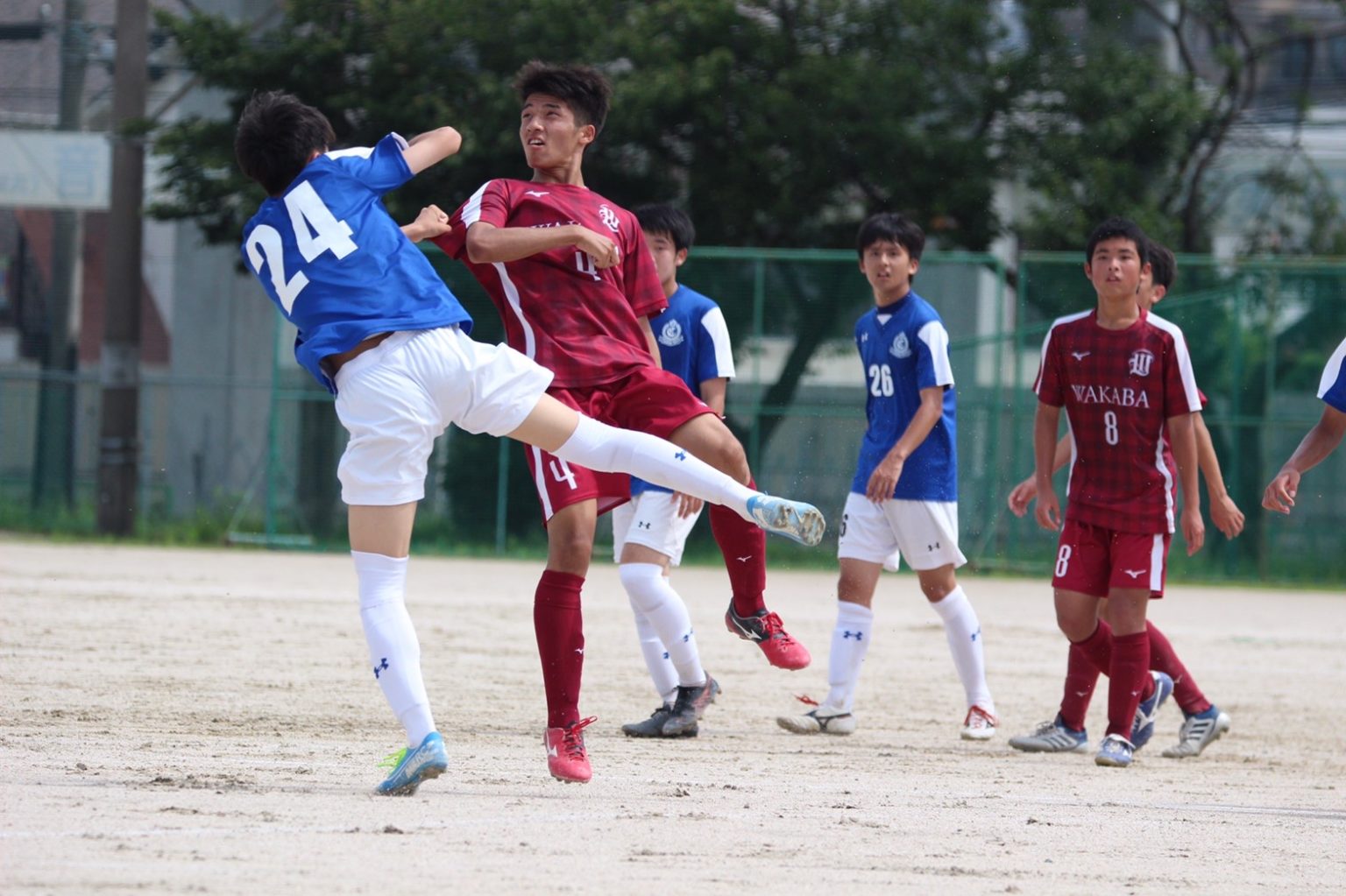 選手紹介 山口 蓮 若葉高校サッカー部公式hp