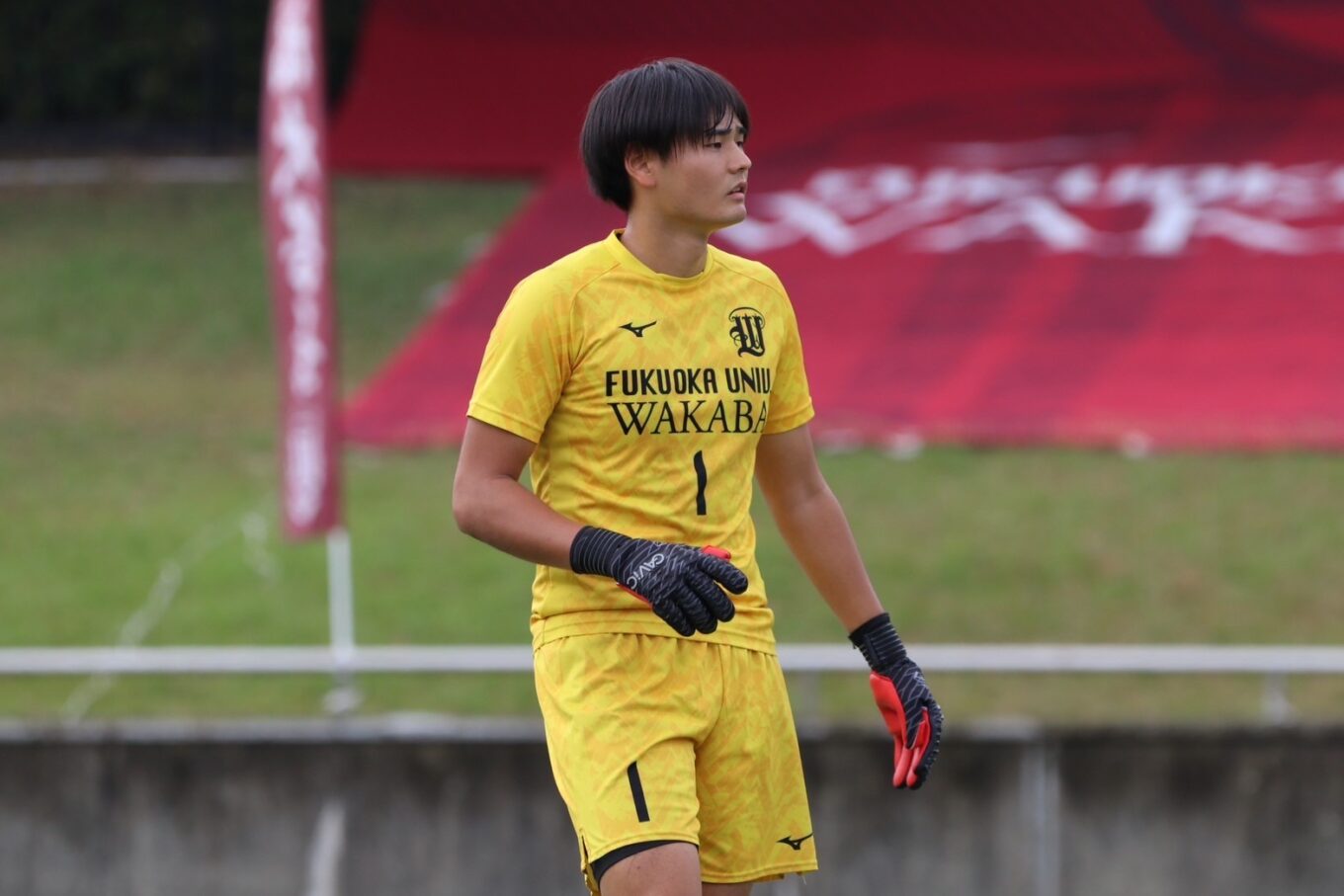 福岡大学　サッカー　ピステ 福岡大学サッカー部ピステ上のみ 2025年最新】福岡大学 サッカー